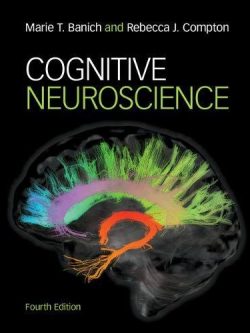 Cognitive Neuroscience (4th Edition) – eBook