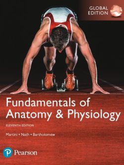 Fundamentals of Anatomy and Physiology (11th Global Edition) – eBook