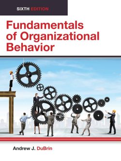 Fundamentals of Organizational Behavior (6th Edition) – eBook PDF