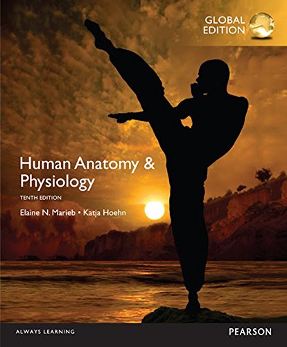 Human Anatomy & Physiology (10th Edition) Global – eBook PDF