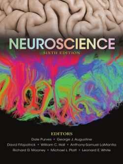 Neuroscience (6th Edition) – eBook